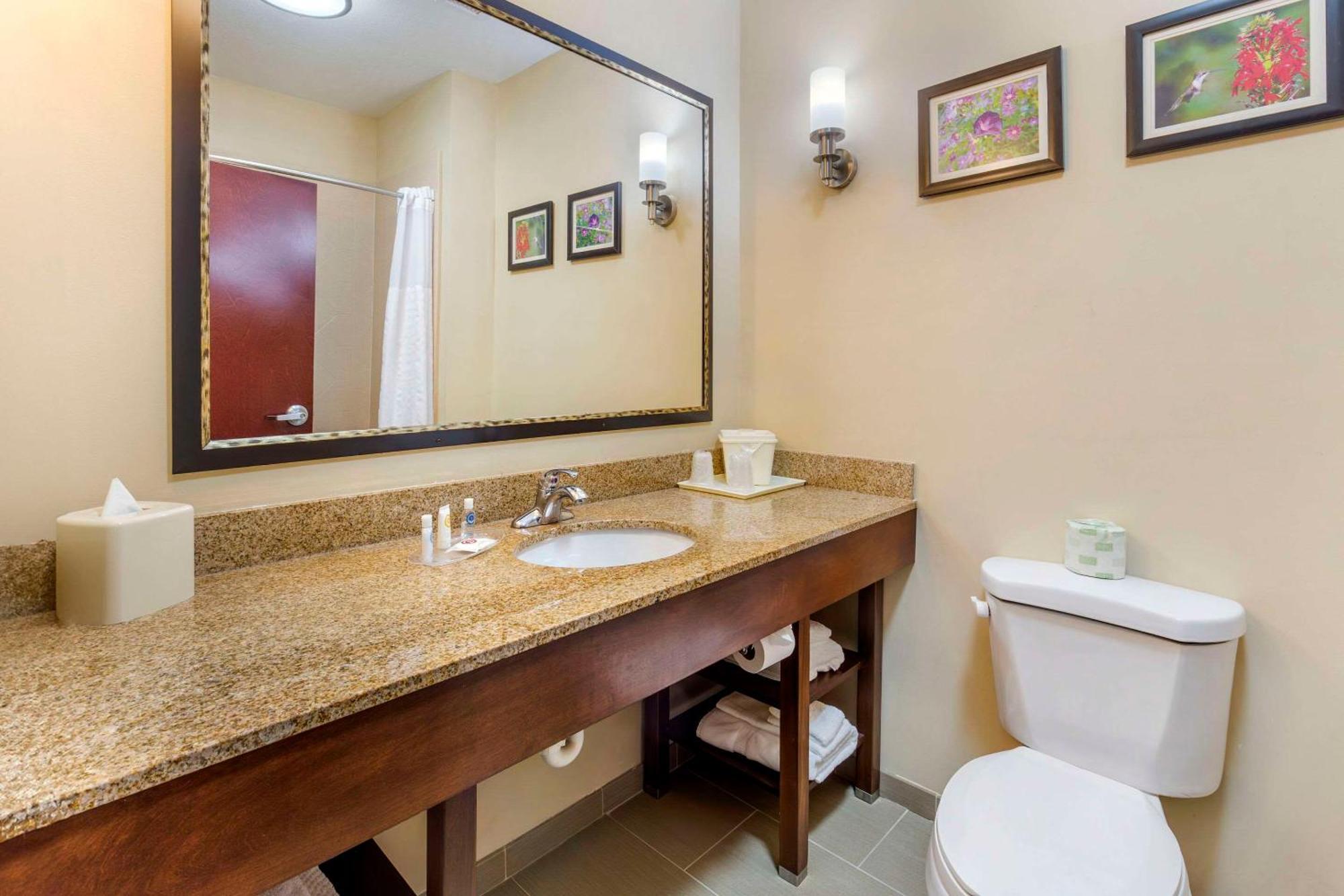 Comfort Suites Wilson - I - 95 Eksteriør billede